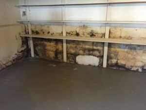 Moldy-Basement-Walls-New-Jersey-3