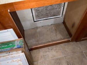 Do Local Waterproofers Handle Mold, Too?