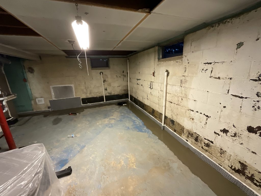 Mold and Moisture: Why Your Basement Keeps Getting Moldy No Matter How Much You Clean