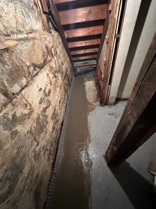 Wet Basement