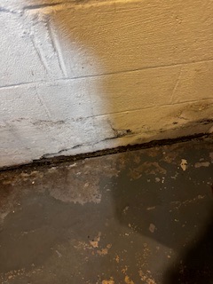 Foundation Repairs