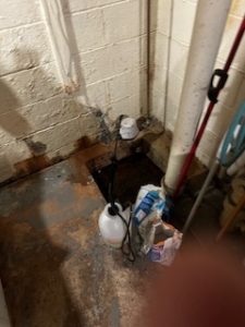 mold and mildew in basement