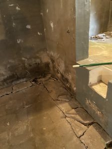 Basement Flood Cleanup: Step-by-Step Guide