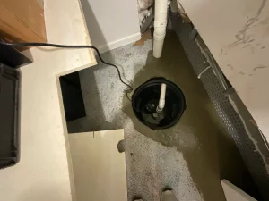 Basement with water pooling around a sump pump. Peeling walls and exposed pipes suggest flooding and damage. The atmosphere is urgent.