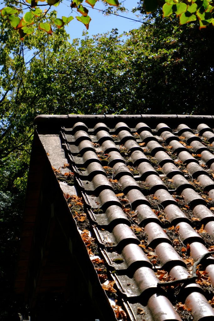 Roof gutter filled with leaves and debris causing poor water drainage near home foundation